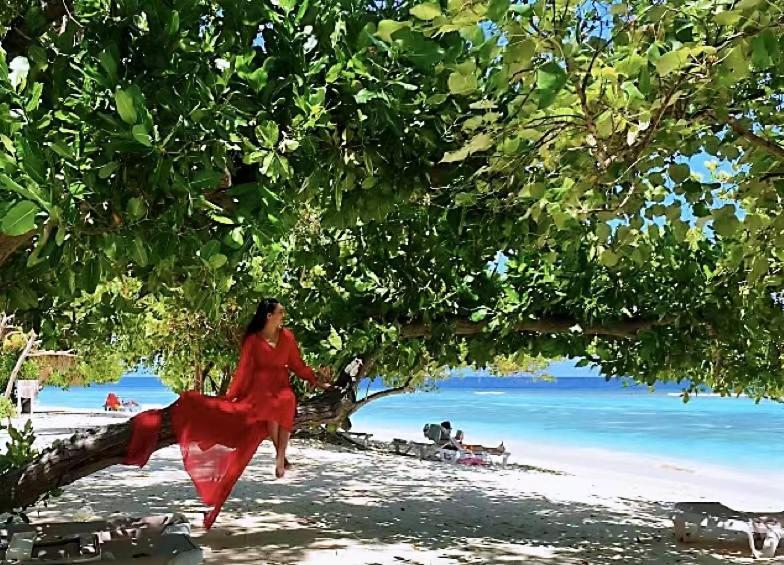 Panda Holiday 中国酒店 中国餐厅 Vx Gsundindi Rasdhoo エクステリア 写真